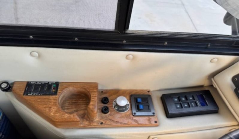 
								1993 Monaco Dynasty 36 full									